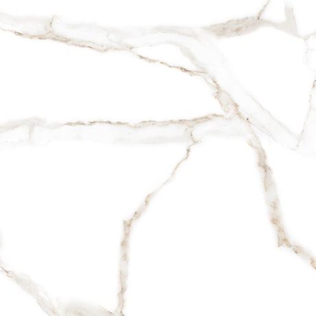 CARRARA WHITE MATT 60X120